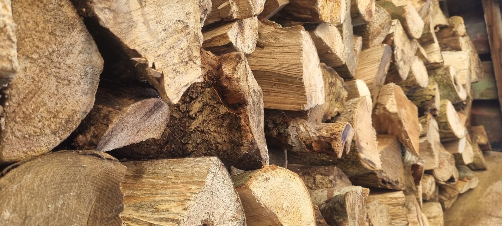 Split seasoned hardwood logs stacked in a Dorset barn